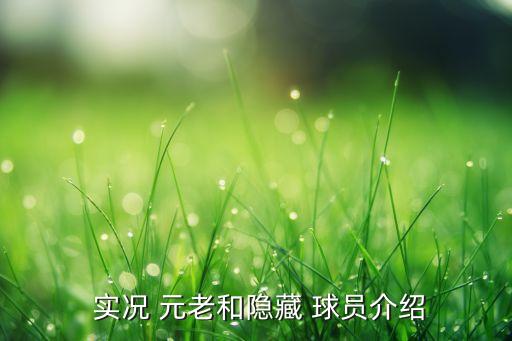  實(shí)況 元老和隱藏 球員介紹