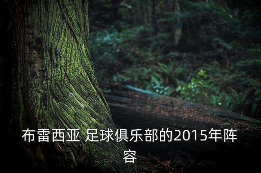 布雷西亞 足球俱樂部的2015年陣容