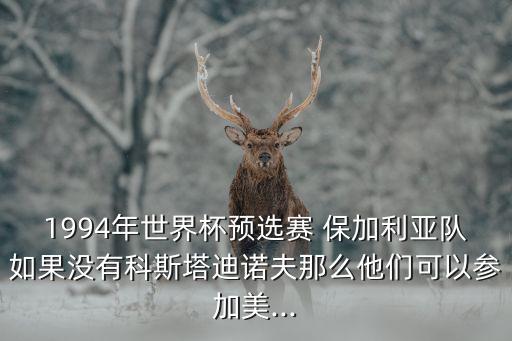 1994年世界杯預(yù)選賽 保加利亞隊(duì)如果沒有科斯塔迪諾夫那么他們可以參加美...