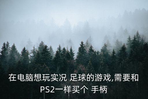 在電腦想玩實況 足球的游戲,需要和PS2一樣買個 手柄