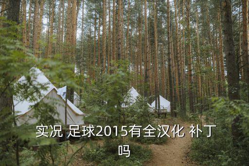 實(shí)況足球2015補(bǔ)丁放在哪,psp實(shí)況足球2015