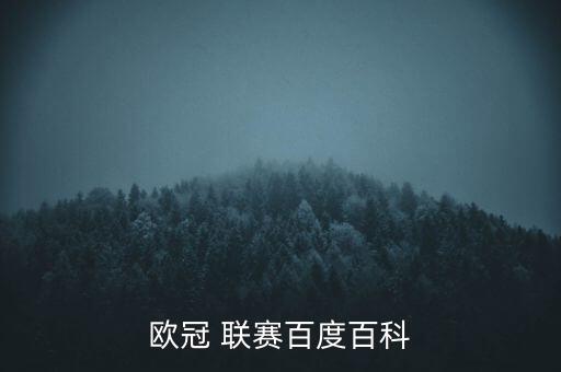 歐冠 聯(lián)賽百度百科