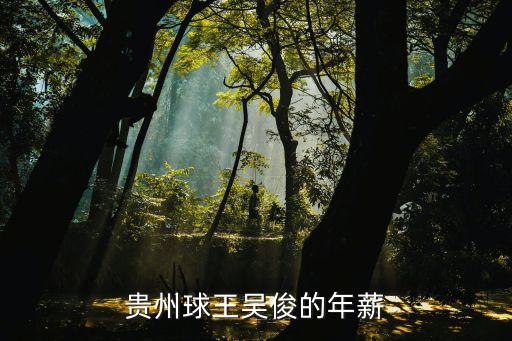 貴州球王吳俊的年薪