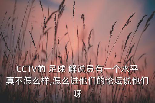 CCTV的 足球 解說員有一個水平真不怎么樣,怎么進他們的論壇說他們呀