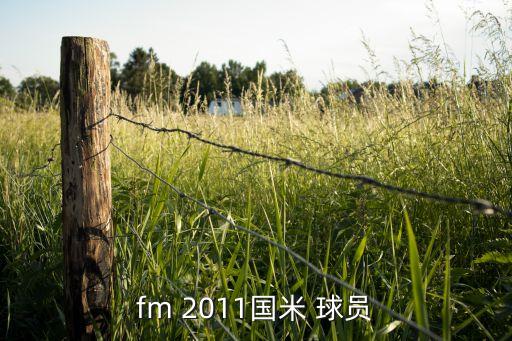 fm 2011國米 球員