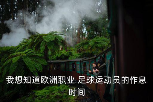 我想知道歐洲職業(yè) 足球運動員的作息時間