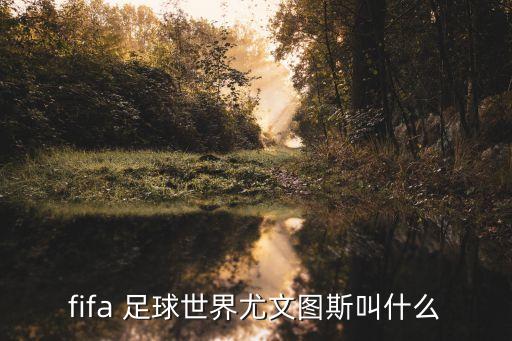 fifa 足球世界尤文圖斯叫什么