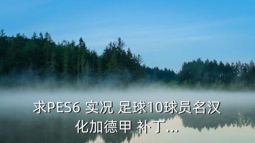 求PES6 實況 足球10球員名漢化加德甲 補丁...