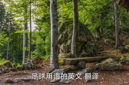  足球用語(yǔ)的英文 翻譯