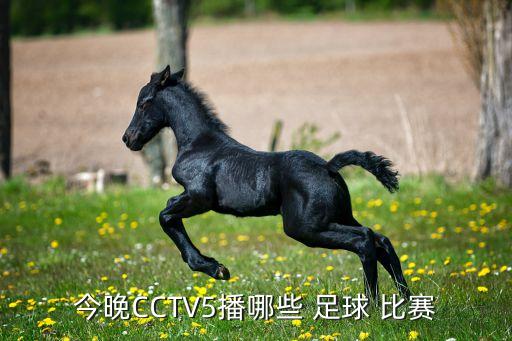 今晚CCTV5播哪些 足球 比賽