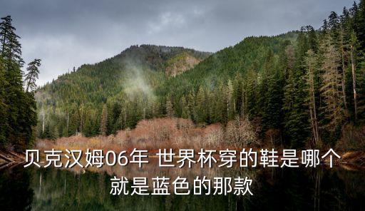 貝克漢姆06年 世界杯穿的鞋是哪個(gè)就是藍(lán)色的那款