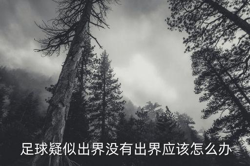  足球疑似出界沒有出界應(yīng)該怎么辦