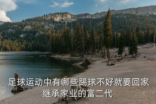  足球運動中有哪些踢球不好就要回家繼承家業(yè)的富二代