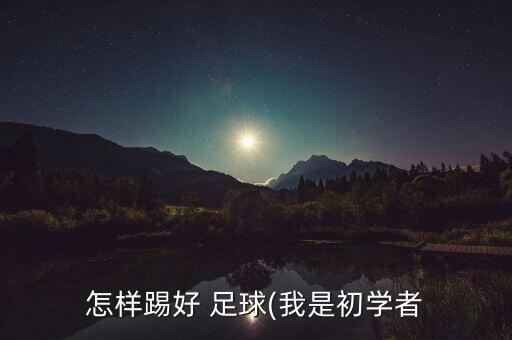 怎樣踢好 足球(我是初學(xué)者