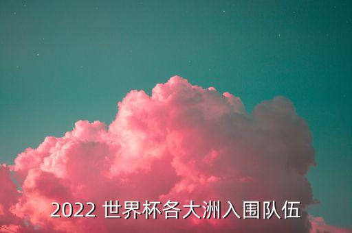 2022 世界杯各大洲入圍隊伍