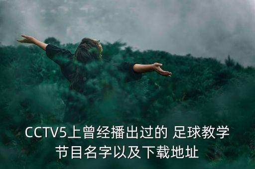 CCTV5上曾經(jīng)播出過(guò)的 足球教學(xué)節(jié)目名字以及下載地址