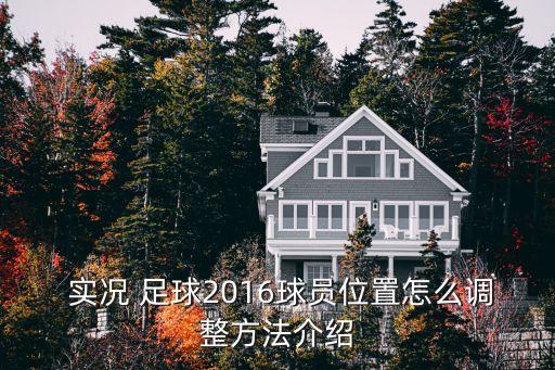  實(shí)況 足球2016球員位置怎么調(diào)整方法介紹