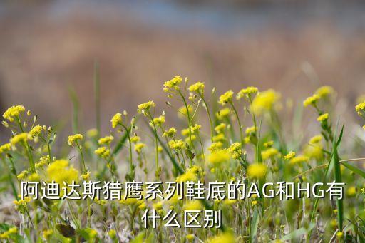 足球鞋hg ag之爭,阿迪達斯足球鞋hg和ag的區(qū)別