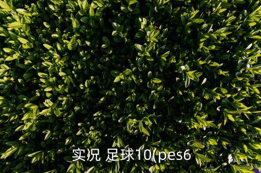  實況 足球10(pes6