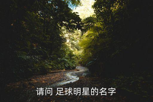 請問 足球明星的名字