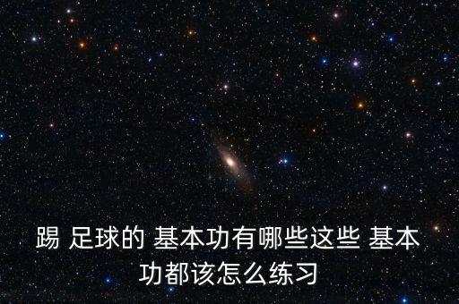 踢 足球的 基本功有哪些這些 基本功都該怎么練習(xí)