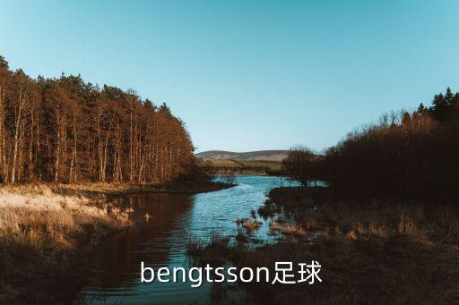 p. bengtsson足球