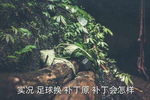  實(shí)況 足球換 補(bǔ)丁原 補(bǔ)丁會怎樣