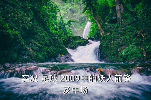  實(shí)況 足球 2009中的妖人前鋒及中場(chǎng)