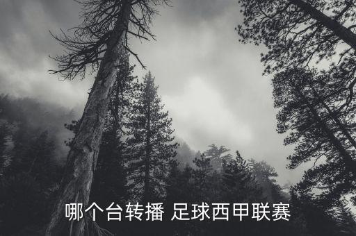 哪個臺轉(zhuǎn)播 足球西甲聯(lián)賽