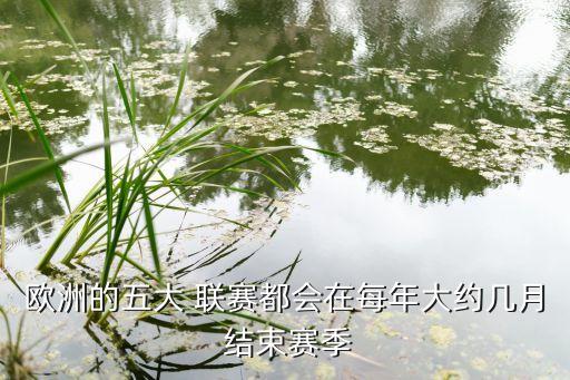 歐洲的五大 聯(lián)賽都會(huì)在每年大約幾月 結(jié)束賽季