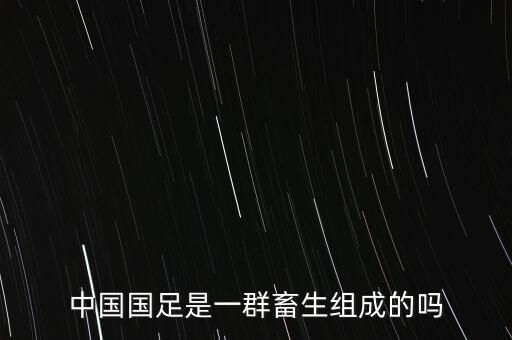 張曉彬 足球,蔣小涵老公張曉彬