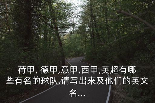 德甲足球隊(duì)伍,足球小說主角在德甲