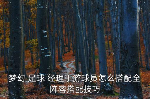 夢幻 足球 經(jīng)理手游球員怎么搭配全陣容搭配技巧