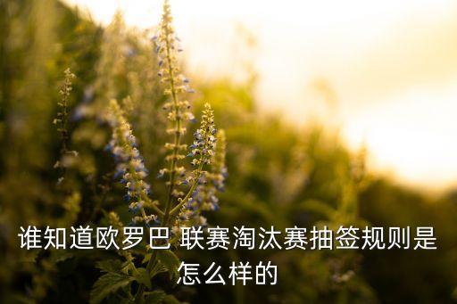 誰知道歐羅巴 聯(lián)賽淘汰賽抽簽規(guī)則是怎么樣的