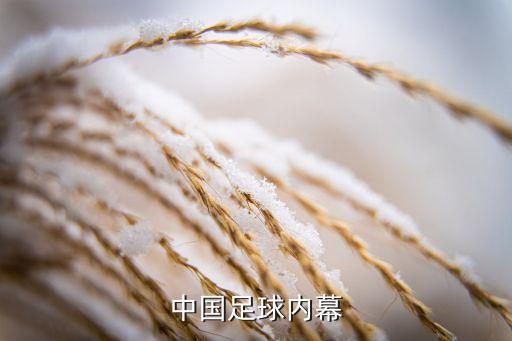 新疆足球隊(duì)假球,新疆雪豹 假球