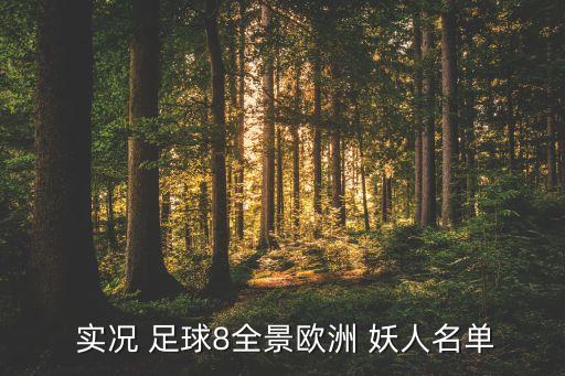  實(shí)況 足球8全景歐洲 妖人名單