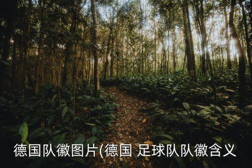 德國隊(duì)徽?qǐng)D片(德國 足球隊(duì)隊(duì)徽含義