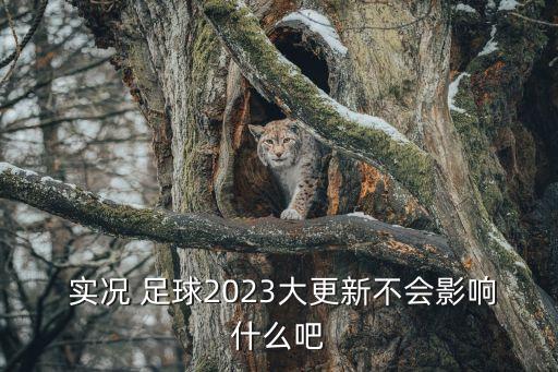  實(shí)況 足球2023大更新不會(huì)影響什么吧