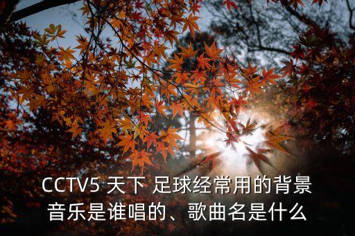 CCTV5 天下 足球經(jīng)常用的背景音樂(lè)是誰(shuí)唱的、歌曲名是什么