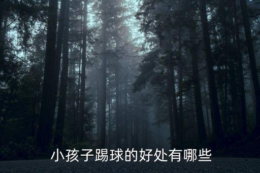 為什么新疆小孩踢足球,新疆小孩踢足球的電視劇