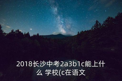 湖南足球?qū)W校,山東魯能泰山足球?qū)W校