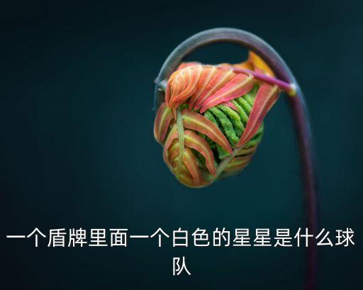 一個盾牌里面一個白色的星星是什么球隊