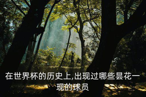 在世界杯的歷史上,出現(xiàn)過哪些曇花一現(xiàn)的球員