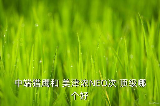 中端獵鷹和 美津濃NEO次 頂級(jí)哪個(gè)好