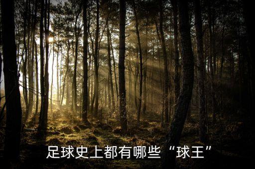 世界上誰是足球網(wǎng)