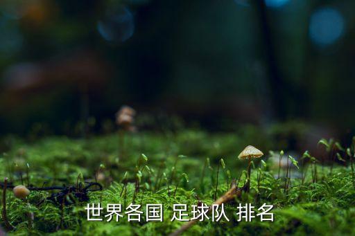 足球澳大利亞世界排名,澳大利亞格里菲斯大學(xué)世界排名