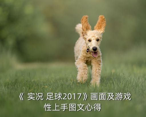 實(shí)況足球2017中文