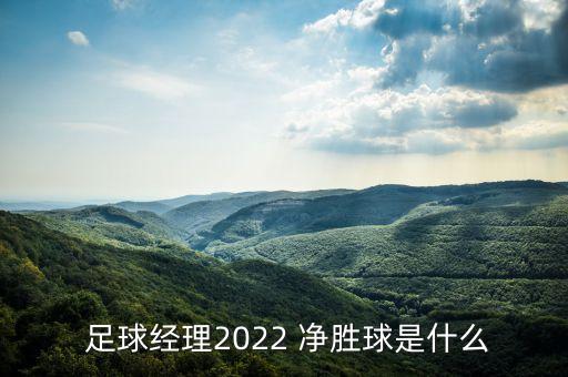  足球經(jīng)理2022 凈勝球是什么