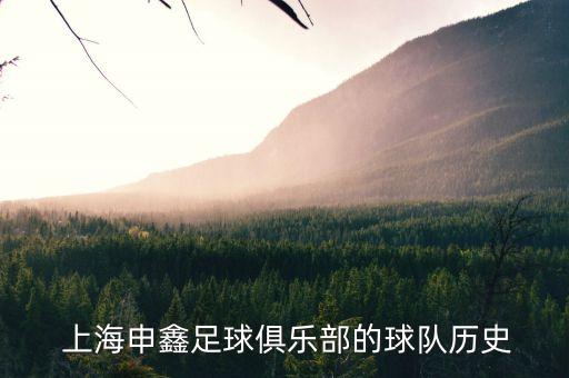  上海申鑫足球俱樂部的球隊(duì)歷史