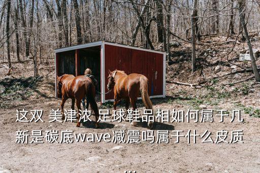 這雙 美津濃 足球鞋品相如何屬于幾新是碳底wave減震嗎屬于什么皮質(zhì)...